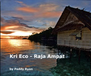Cover of Kri Eco book with sunrise and thatched hut over a calm sea 